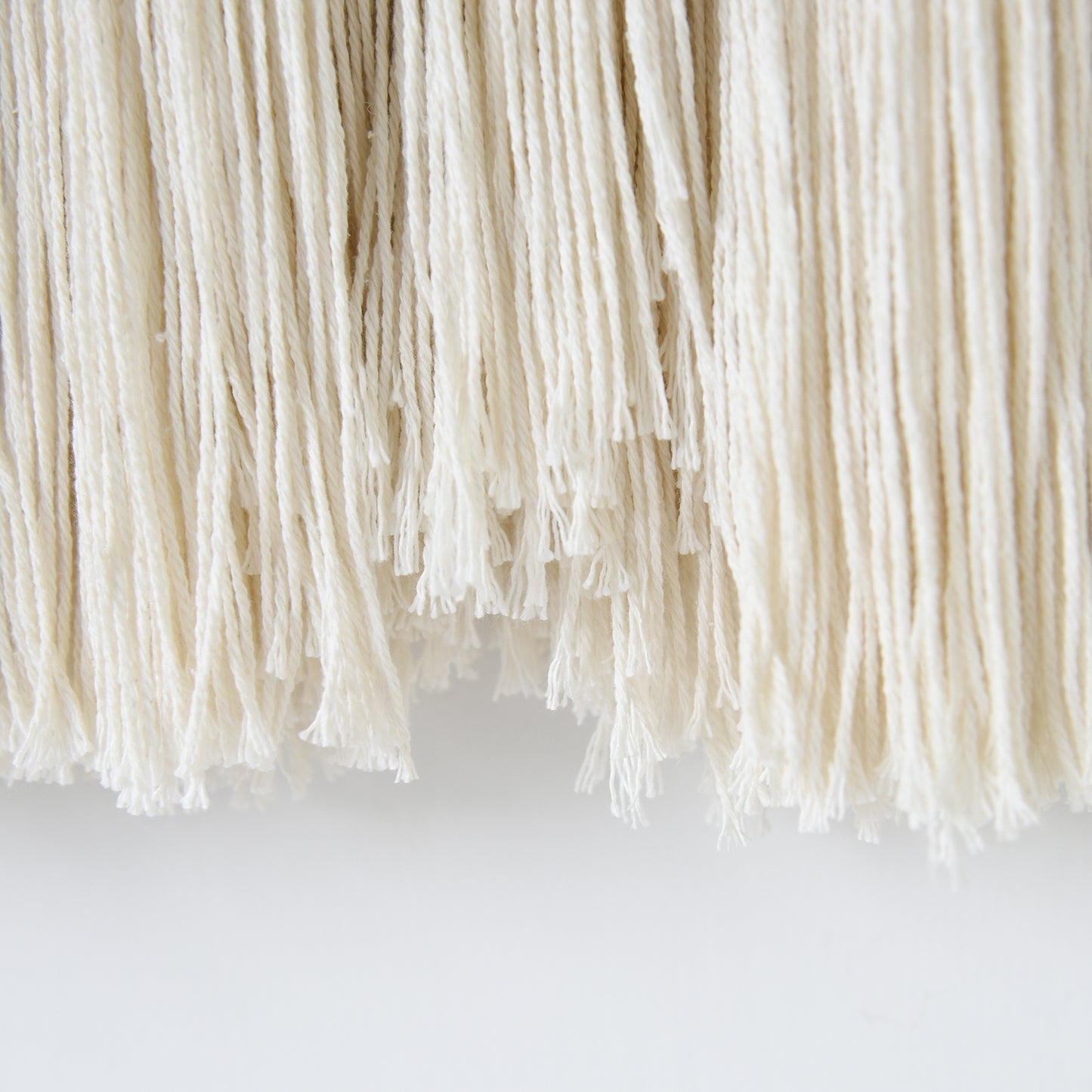 Macrame Wall Hanging with Braided Knot and Tassel Fringe